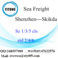 Shenzhen Port LCL Consolidation To Skikda